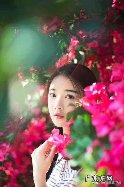 雨打浮萍什么意思 雨打浮萍图片欣赏