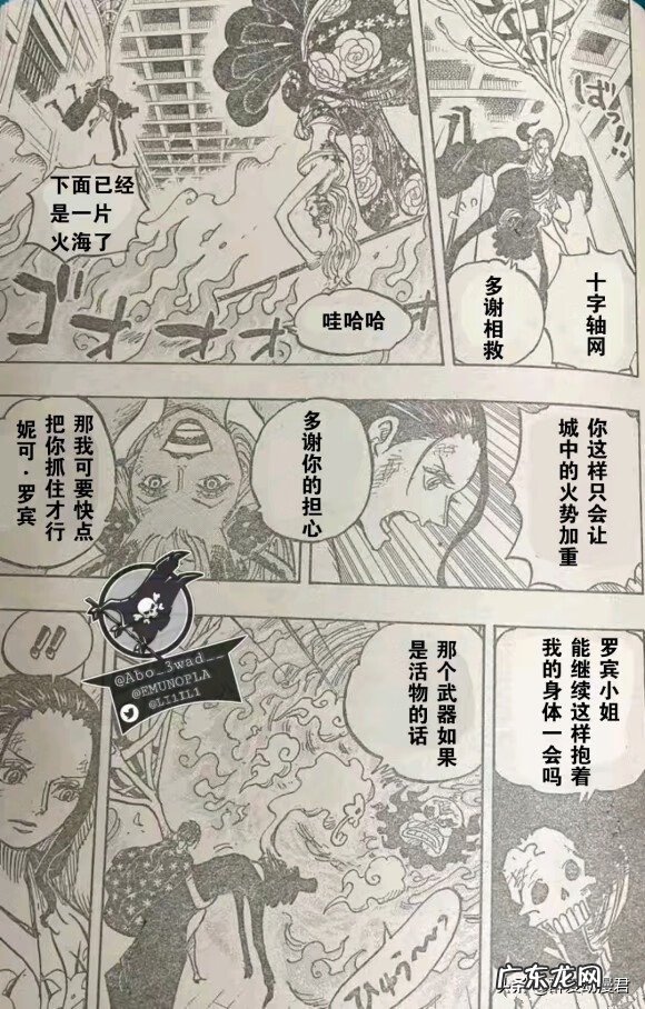 鼠绘没了去哪看海贼王 海贼王漫画鼠绘1020