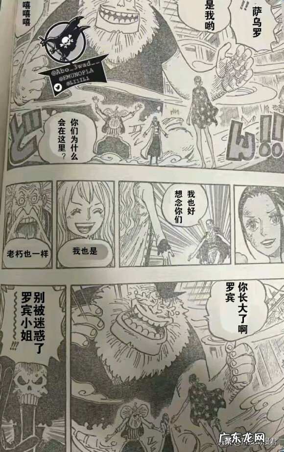 鼠绘没了去哪看海贼王 海贼王漫画鼠绘1020