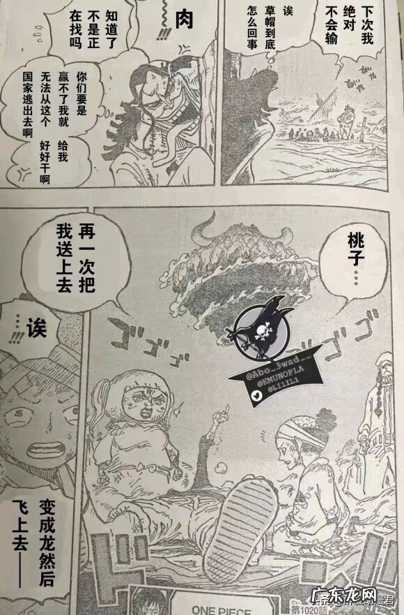 鼠绘没了去哪看海贼王 海贼王漫画鼠绘1020