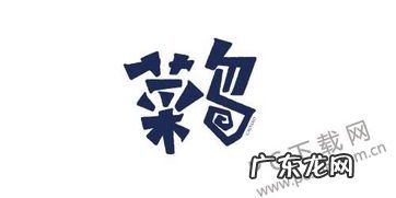 菜鸟是词语吗? 菜鸟的网络语言是什么意思