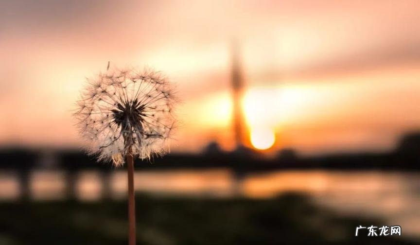 交运的时候躺着睡觉好不好 交运睡觉好不好