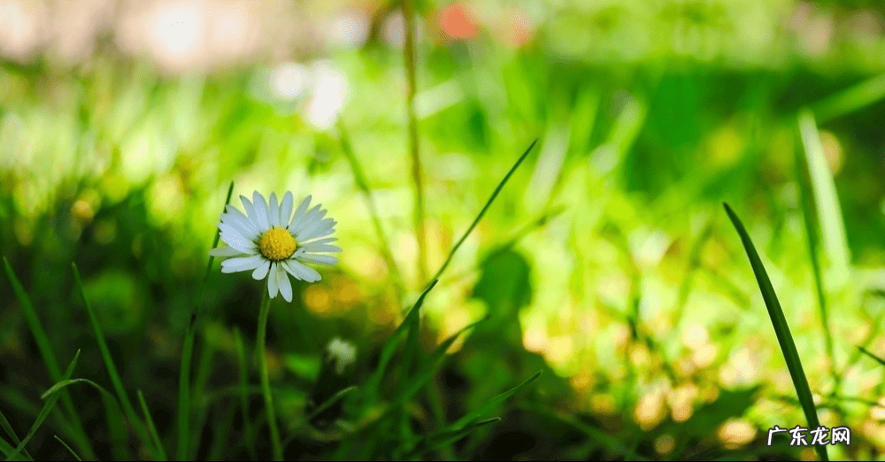 林地风水 林地的风水