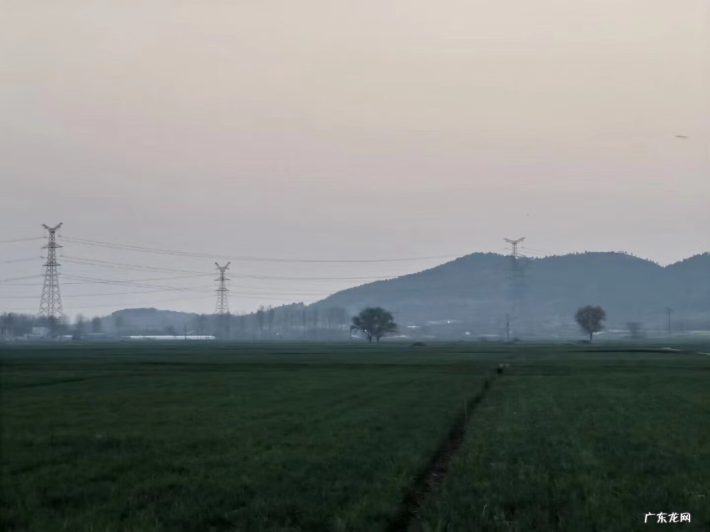 林地风水 林地的风水