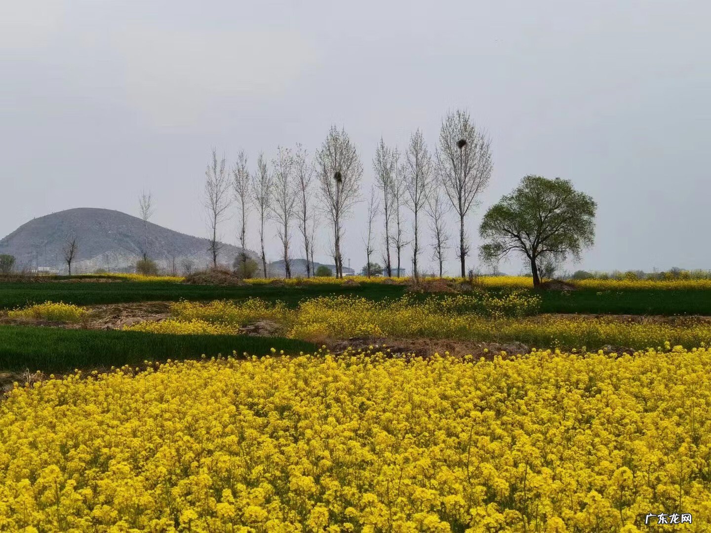 林地风水 林地的风水