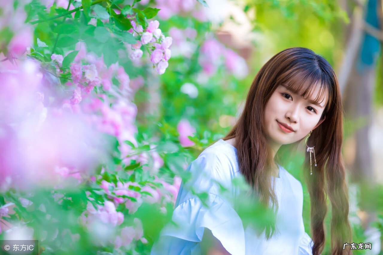 十二生肖风水植物 12生肖的微信头像风水讲究