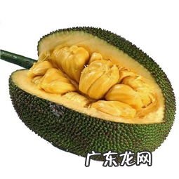 菠萝蜜能多吃吗? 菠萝蜜可以多吃吗有什么营养价值