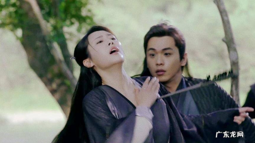 庆余年范闲几个老婆 范闲的老婆都是谁