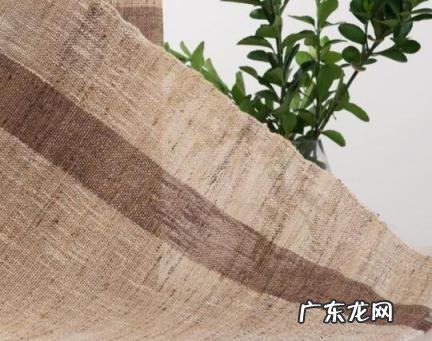 苧麻面料会缩水吗 苎麻面料会缩水吗为什么