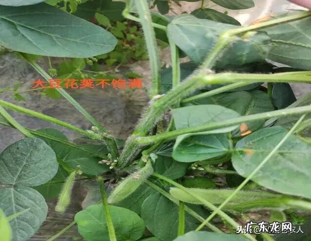 庚子年为什么不好 庚子年运气不好