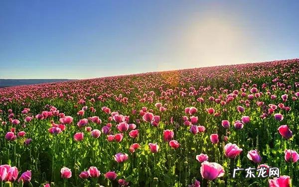 企业管理培训 企业管理培训公司是做什么的