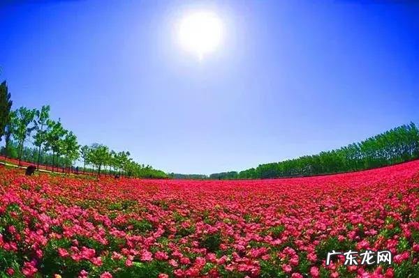 企业管理培训 企业管理培训公司是做什么的