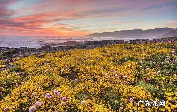 企业管理培训 企业管理培训公司是做什么的