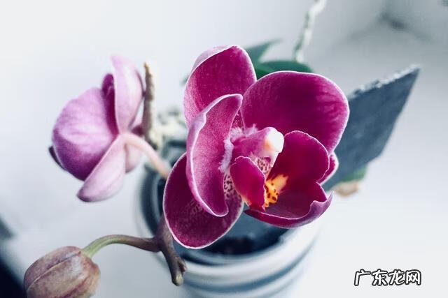 享受孤独的人是什么心理 享受孤独的人