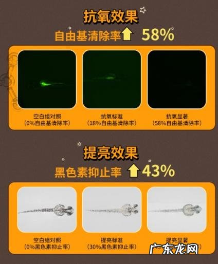 言之有物精华液怎么样 言之有物vc精华怎么样