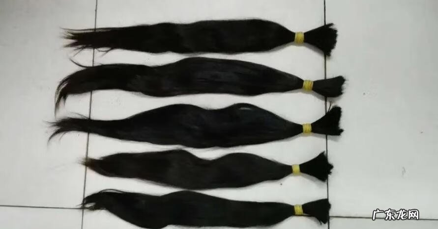 新型农村创业好项目 最新农村创业好项目