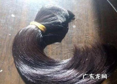 新型农村创业好项目 最新农村创业好项目