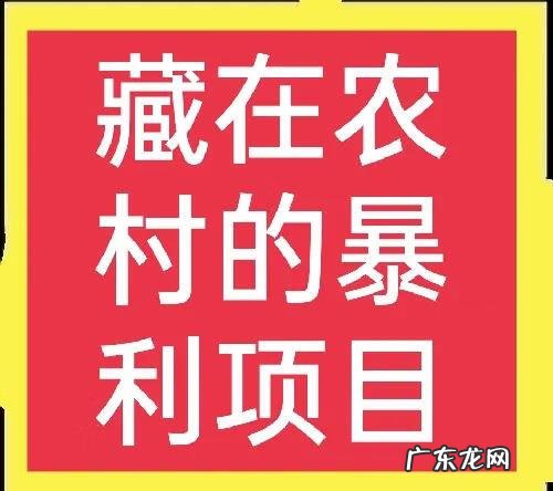 新型农村创业好项目 最新农村创业好项目