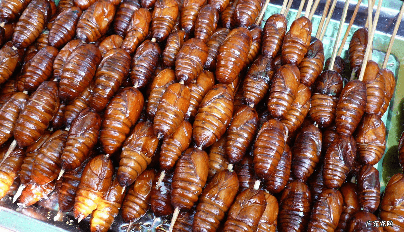 做蚕蛹最简单办法 蚕蛹的做法步骤