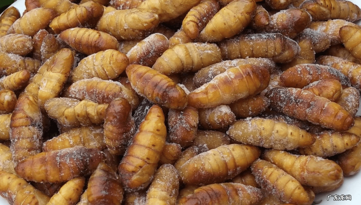 做蚕蛹最简单办法 蚕蛹的做法步骤