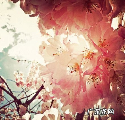 家居风水九宫格图解 家居风水九宫格图片