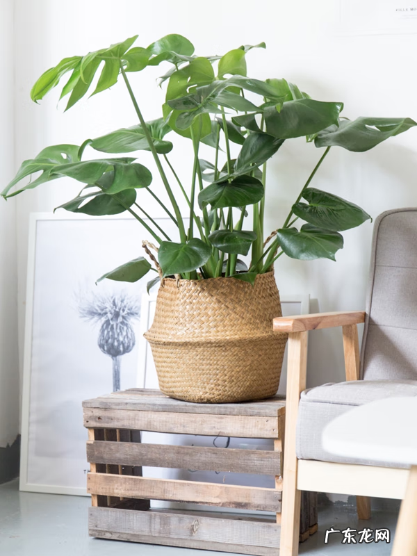 家居风水九宫格图解 家居风水九宫格图片