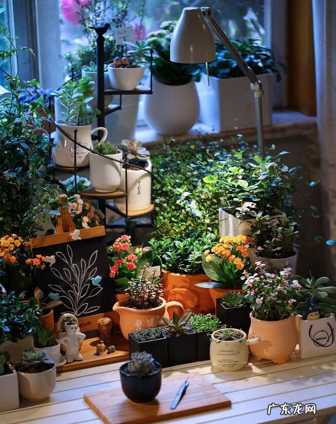 家居风水九宫格图解 家居风水九宫格图片