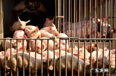 菜市场摆摊 菜市场适合摆什么摊