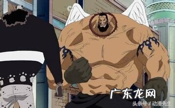 幻兽种恶魔果实 十大超人系恶魔果实