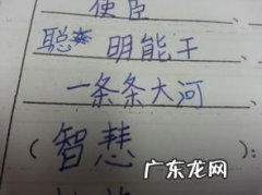 eq跟iq是什么意思 iq是什么意思的缩写,怎么读