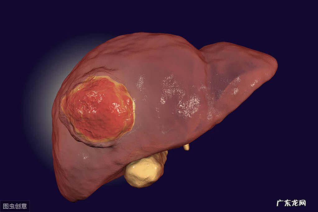 转氨酶偏高的原因及危害 转氨酶高的危害性