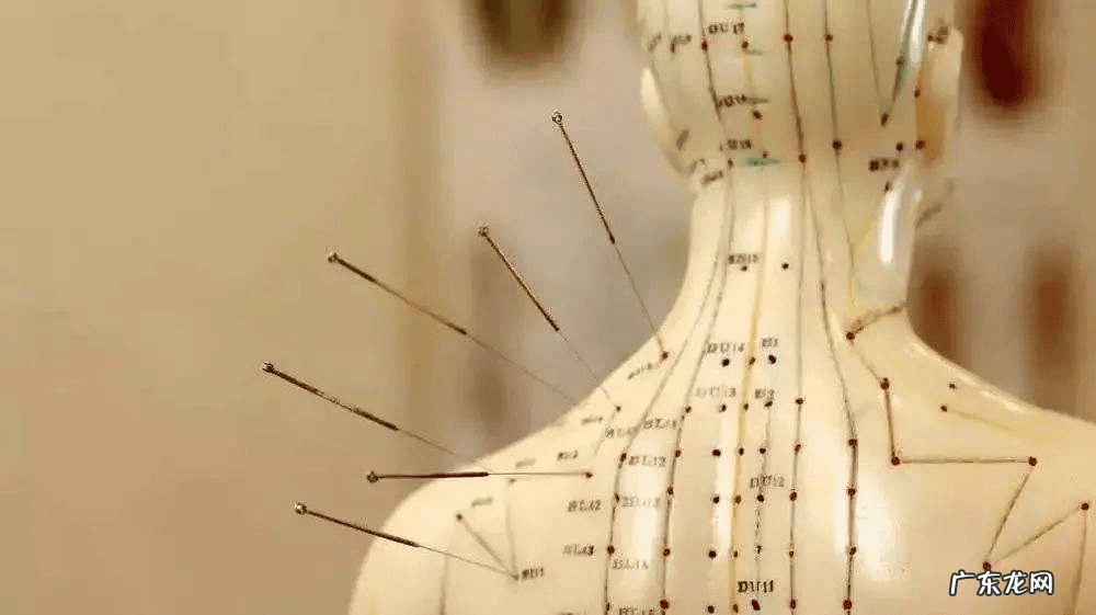 风水师工具 自动风水点穴软件