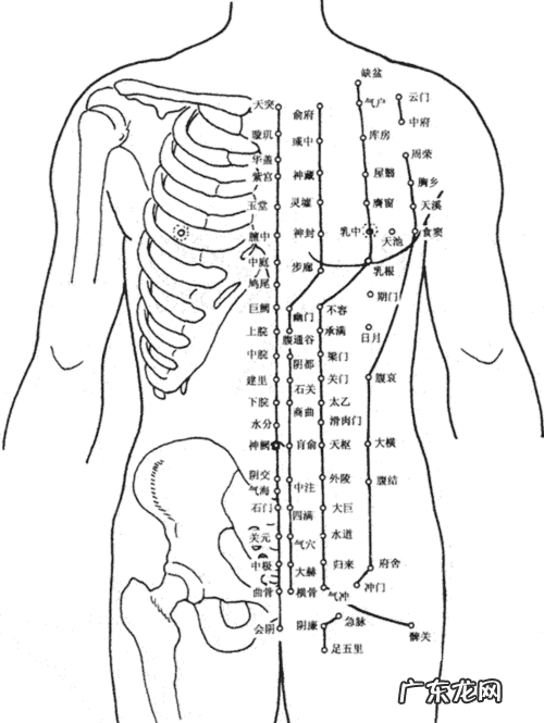 风水师工具 自动风水点穴软件