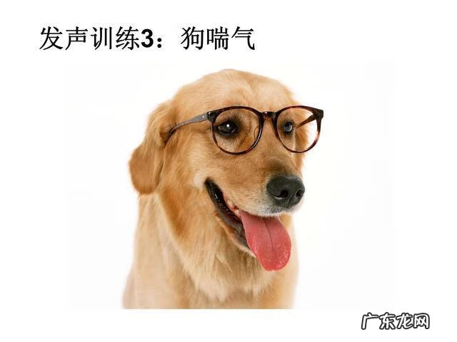 培训思维导图模板 思维导图训练