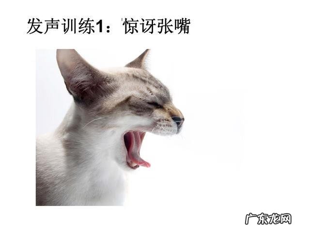 培训思维导图模板 思维导图训练