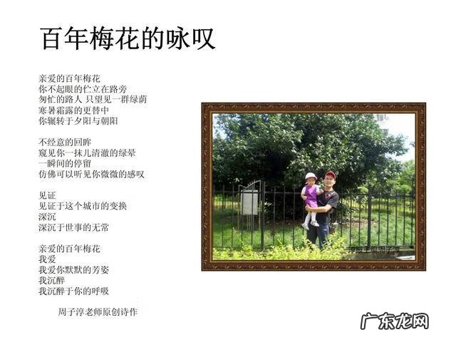 培训思维导图模板 思维导图训练