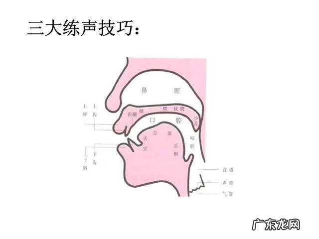 培训思维导图模板 思维导图训练