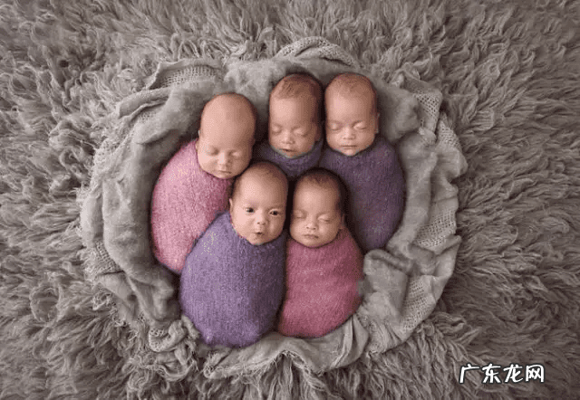 十胞胎 多胞胎最多几个