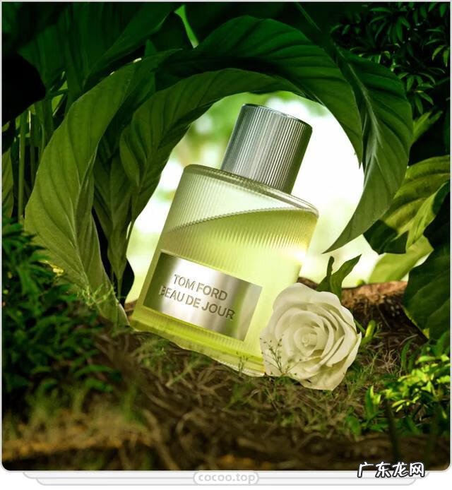 平面设计 平面设计图片