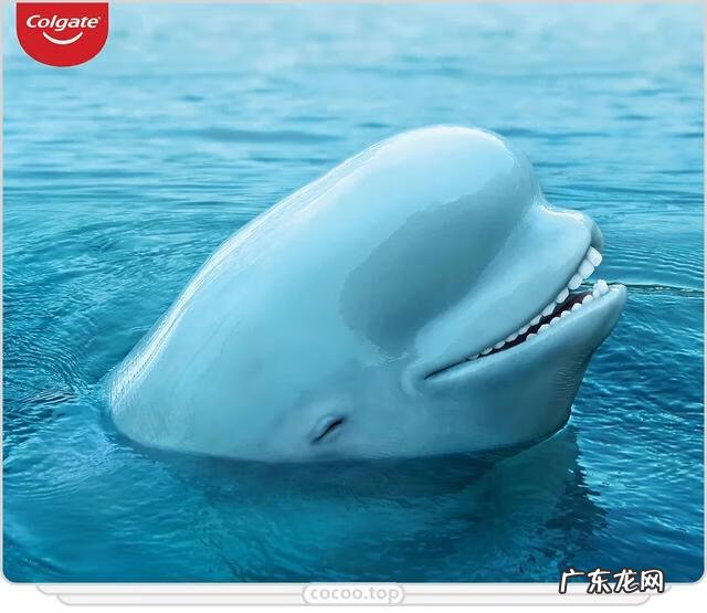 平面设计 平面设计图片