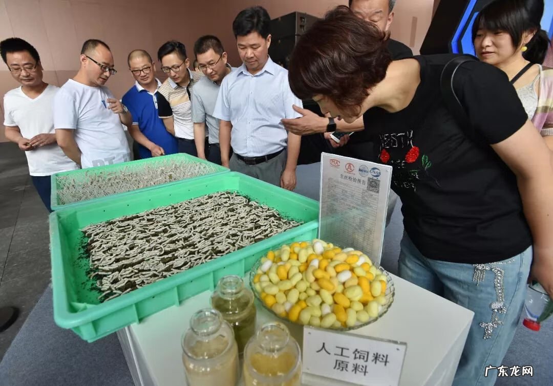 新物记精选 好物知时节