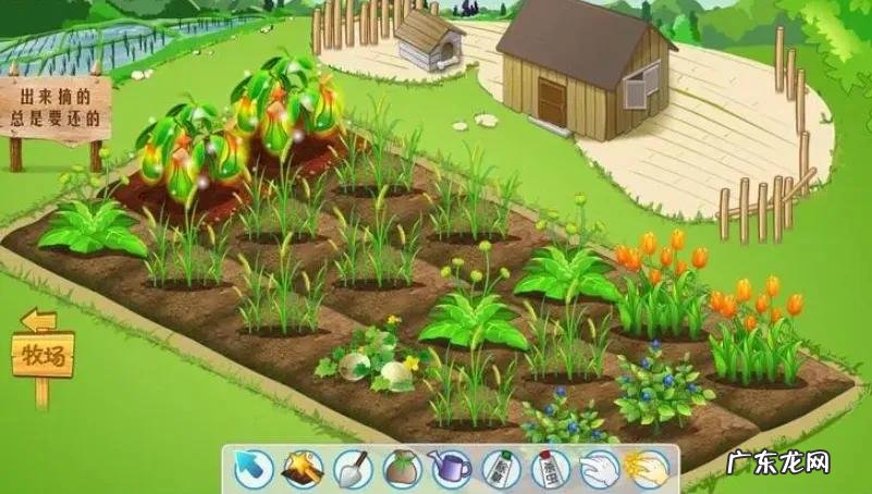 QQ农场最新版 qq农场排行榜在哪里
