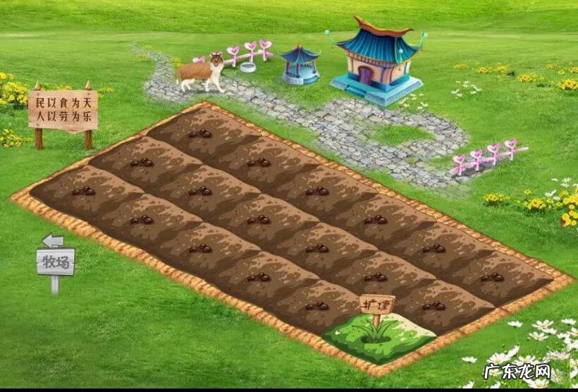 QQ农场最新版 qq农场排行榜在哪里