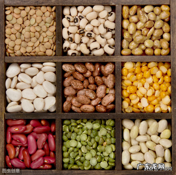 食品加工厂都有哪些项目 食品加工项目是