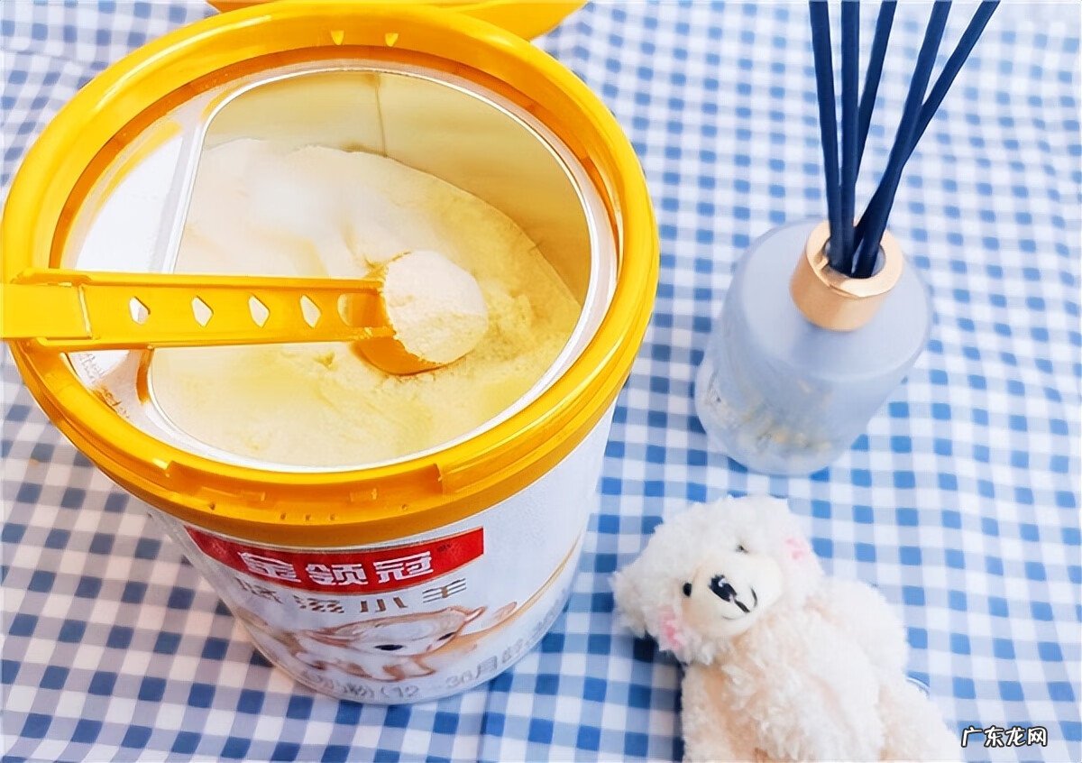 伊利金领冠珍护奶粉图片 伊利金领冠奶粉官方网站