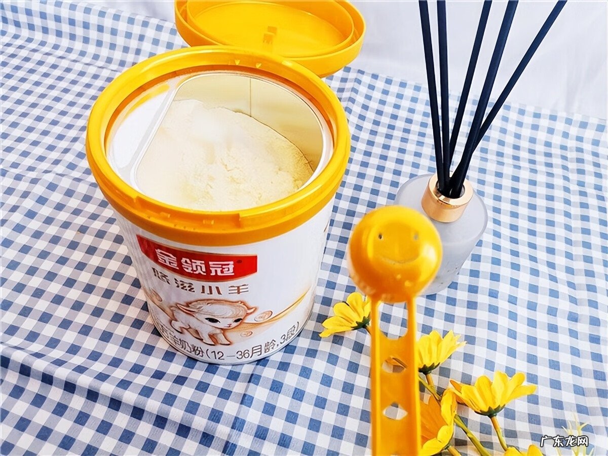 伊利金领冠珍护奶粉图片 伊利金领冠奶粉官方网站