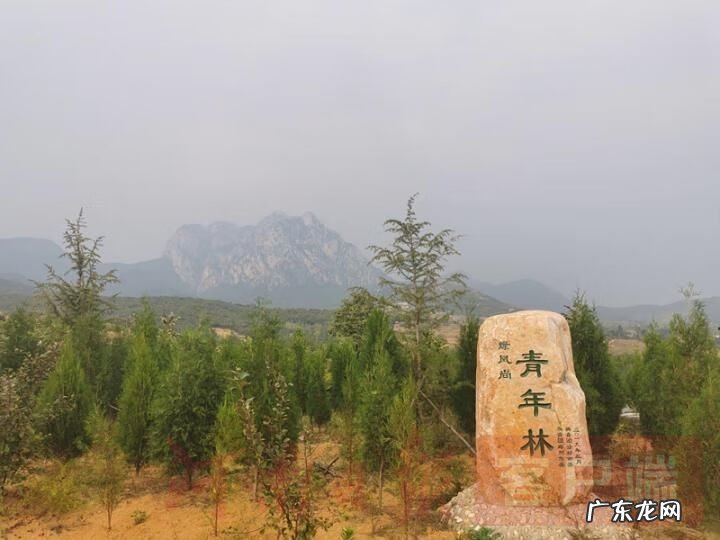 河南焦作风水大师 武陟南霍风水先生是谁