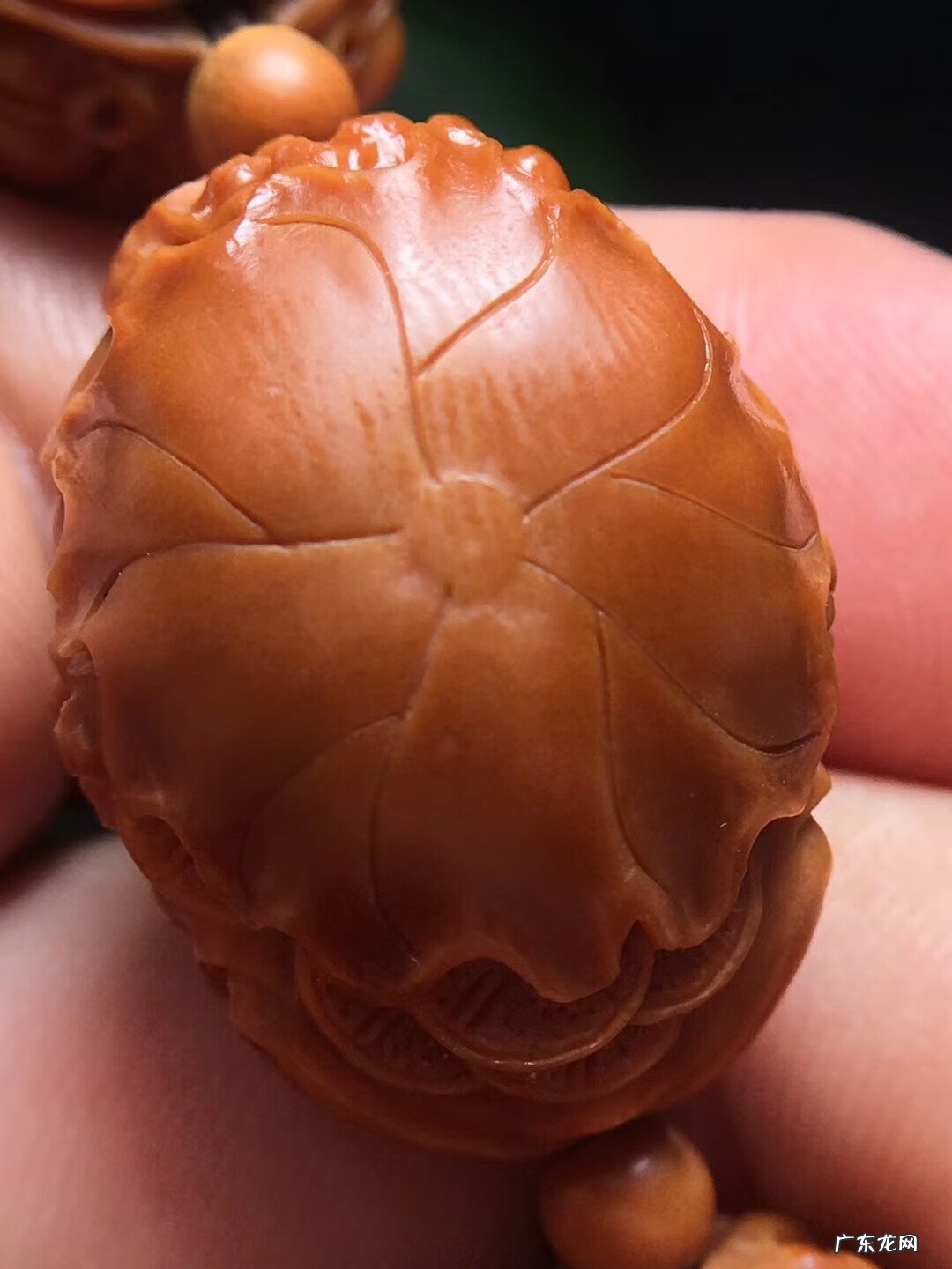 橄榄核手串有什么讲究 橄榄核手串有什么作用