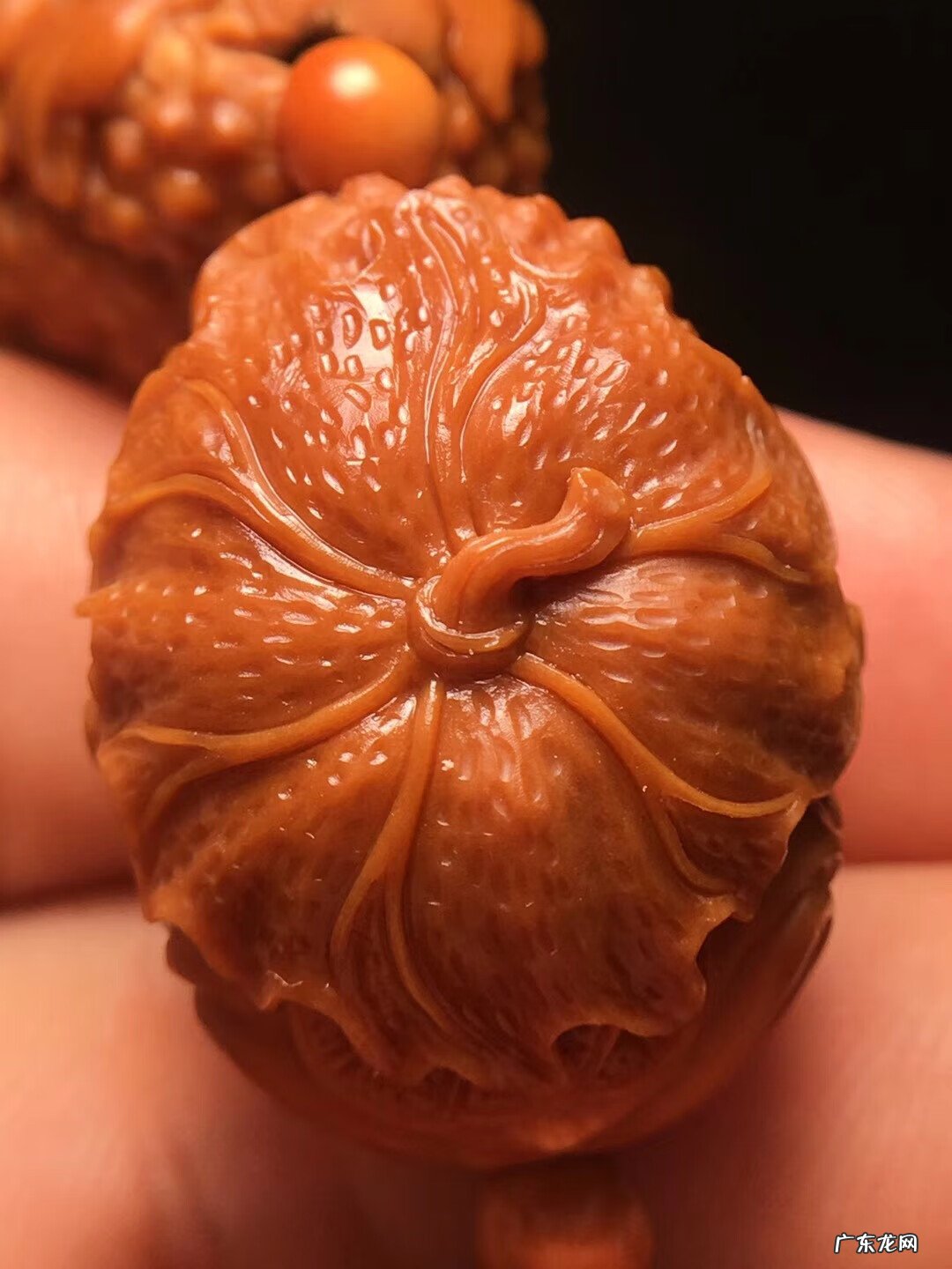 橄榄核手串有什么讲究 橄榄核手串有什么作用