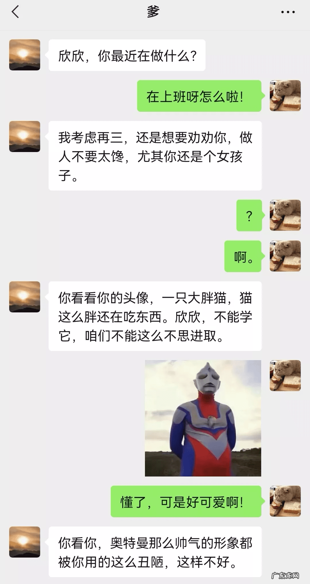 猫在风水上代表什么 猫头像有什么不好吗